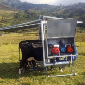 establo galvanizado con cajon deordeno colombiano